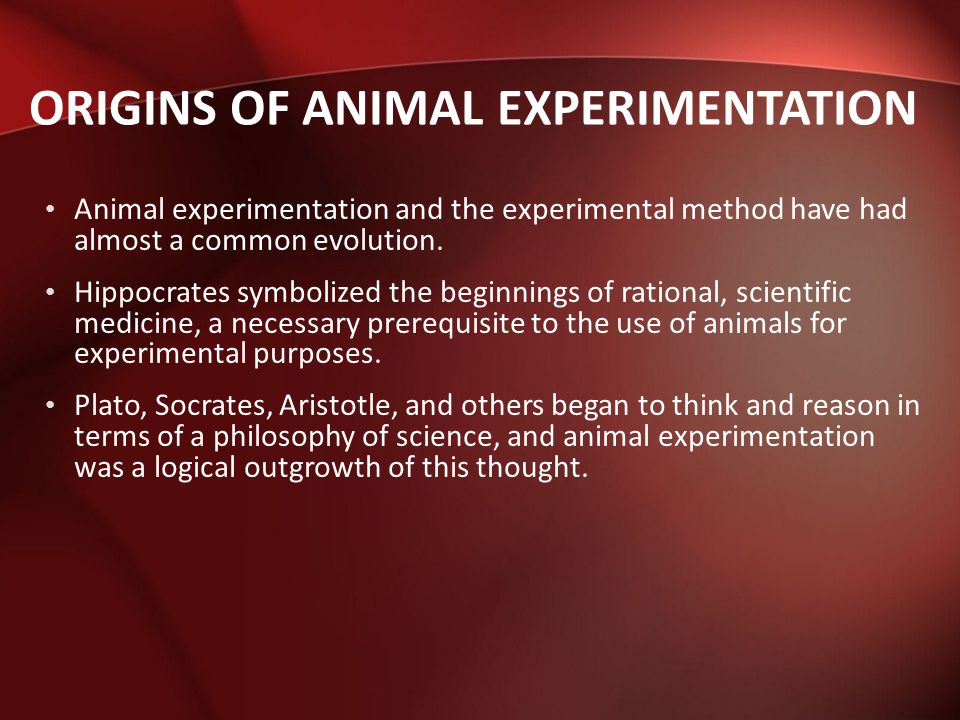 Would aristotle approve of animal experimentation